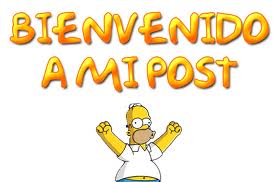 Recomendaciones para NOVATOS.....-homero.jpg