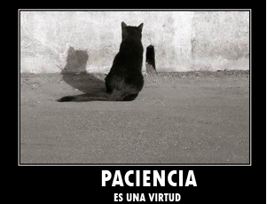 El razonamiento del D&iacute;a-paciencia.png