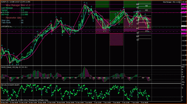 Diario de un "Lobo Estepario" entre osos y toros-eur-jpy-ene13.08-h1.gif