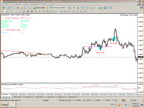 Analisis Tecnico EURUSD-13-02-13.png