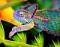 Avatar de camaleon24