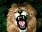 Avatar de leonlq